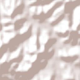 Kaipara District Terrain Map