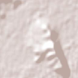 East Albury Terrain Map