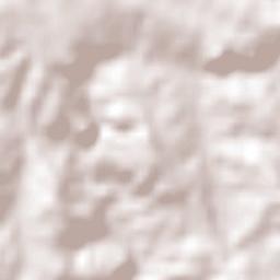 Quirihue Terrain Map