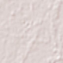 Rochester Terrain Map