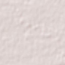 San Carlos Terrain Map