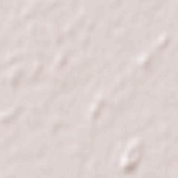 Lonquimay Terrain Map