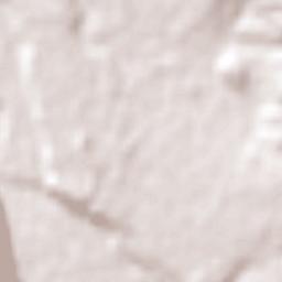 San Fabián Terrain Map