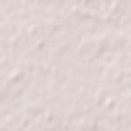 Chillán Terrain Map