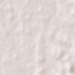 Coihueco Terrain Map