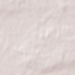 Santa Rosa Terrain Map