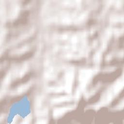 Flora Hill Terrain Map