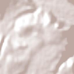 Barrancas Terrain Map