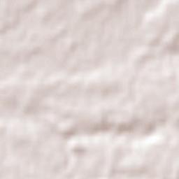 El Carmen Terrain Map