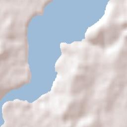 Tamaki Terrain Map