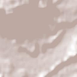 Buta Ranquil Terrain Map