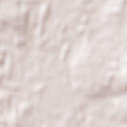 Carisbrook Terrain Map