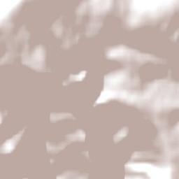 Dinner Plain Terrain Map