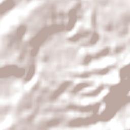 Pukekohe East Terrain Map