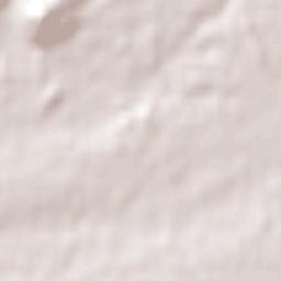 Los Ángeles Terrain Map