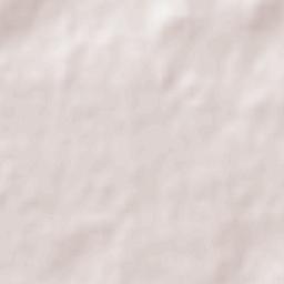 General Manuel J. Campos Terrain Map