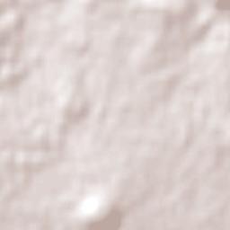 New Gisborne Terrain Map