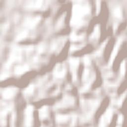 Curanilahue Terrain Map