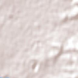 Invermay Park Terrain Map