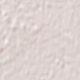 Millicent Terrain Map