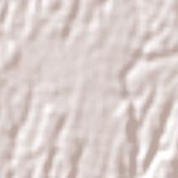 Los Álamos Terrain Map