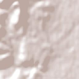 Bacchus Marsh Terrain Map