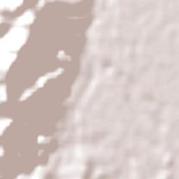 Ngaruawahia Terrain Map