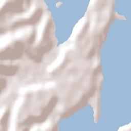 Tauranga Terrain Map