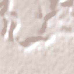 Braybrook Terrain Map