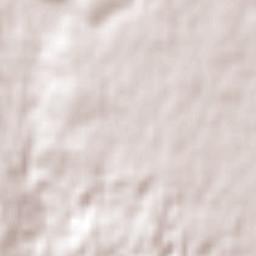 Parkville Terrain Map