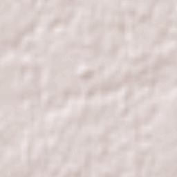 Williams Landing Terrain Map