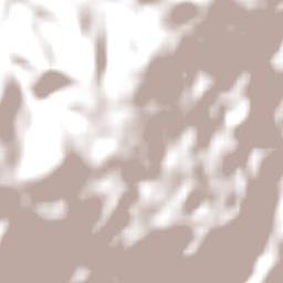 Sassafras Terrain Map