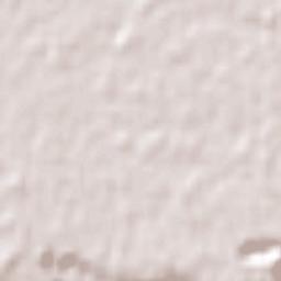 Cambridge Terrain Map