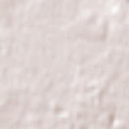 Oakleigh South Terrain Map