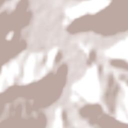 Contulmo Terrain Map