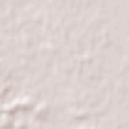 Wellington Terrain Map