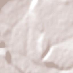 Loncopué Terrain Map