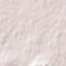 Camperdown Terrain Map