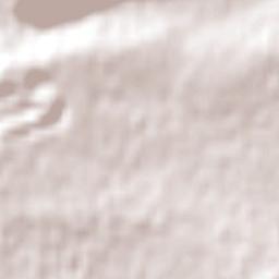 Waurn Ponds Terrain Map