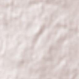 Somerville Terrain Map