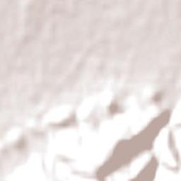 Yarragon Terrain Map