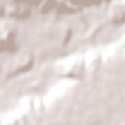 Traiguén Terrain Map