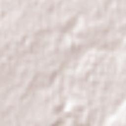 Winchelsea Terrain Map