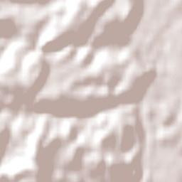 Murupara Terrain Map