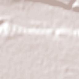 Las Lajas Terrain Map