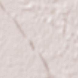 Vista Alegre Terrain Map