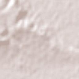 Neuquén Terrain Map