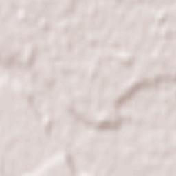 Pitrufquén Terrain Map