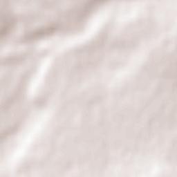 Departamento de Zapala Terrain Map