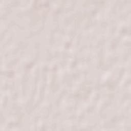 General Roca Terrain Map